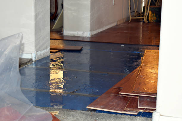 Professional Water Damage Repair technician working in Akron, MI