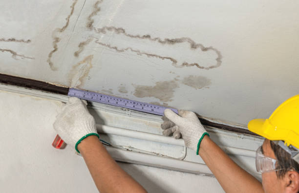 Reliable Water Damage Repair contractor in Akron, MI by Hirex Water Damage